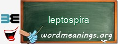 WordMeaning blackboard for leptospira